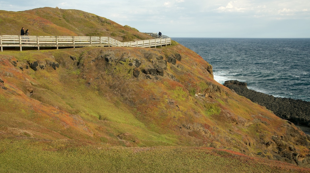 Phillip Island featuring views and rocky coastline