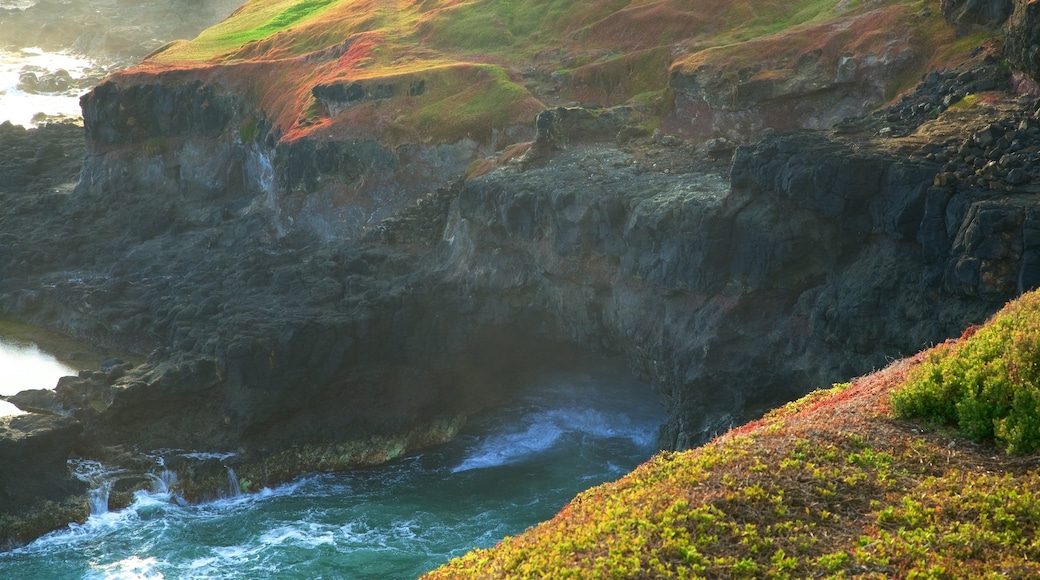 Phillip Island which includes rugged coastline, a bay or harbour and waves