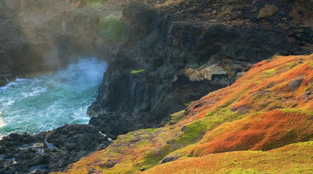 Victoria showing rocky coastline