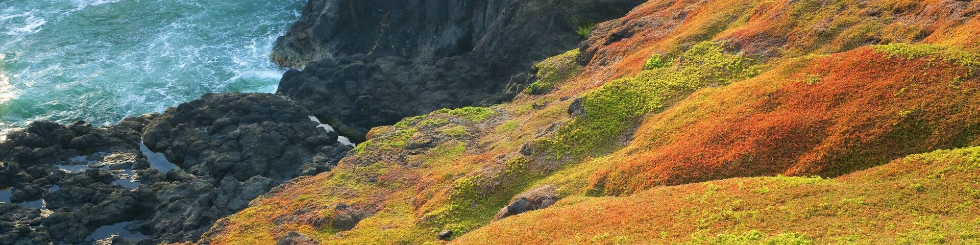 Victoria showing rocky coastline