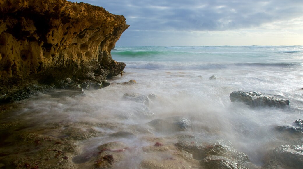 Peterborough featuring rocky coastline, surf and a bay or harbour