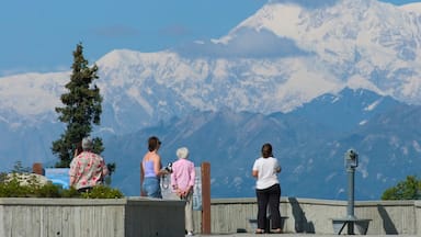 Denali som inkluderer utsikt og fjell i tillegg til en liten gruppe med mennesker