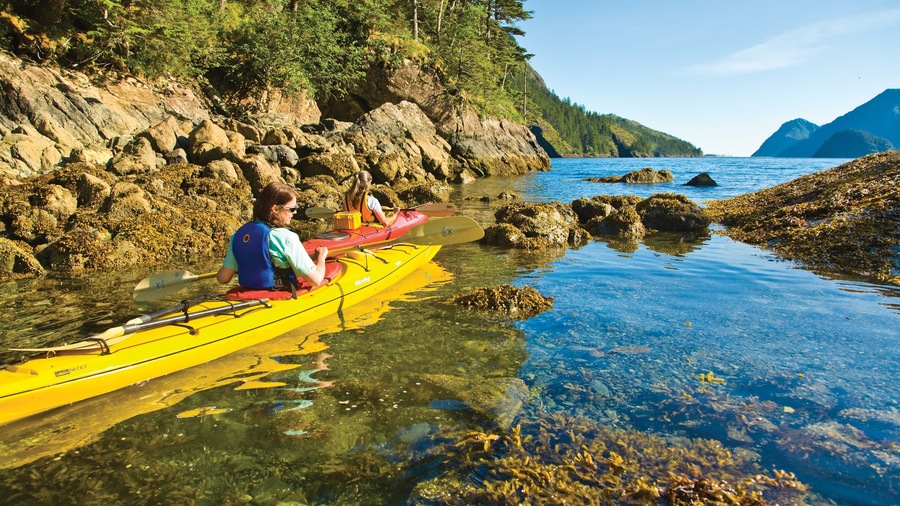 Penisola di Kenai che include kayak o canoa, costa rocciosa e colori della barriera corallina