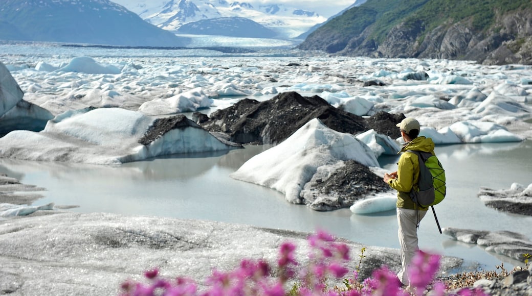 Foto proporcionada por State of Alaska/Matt Hage