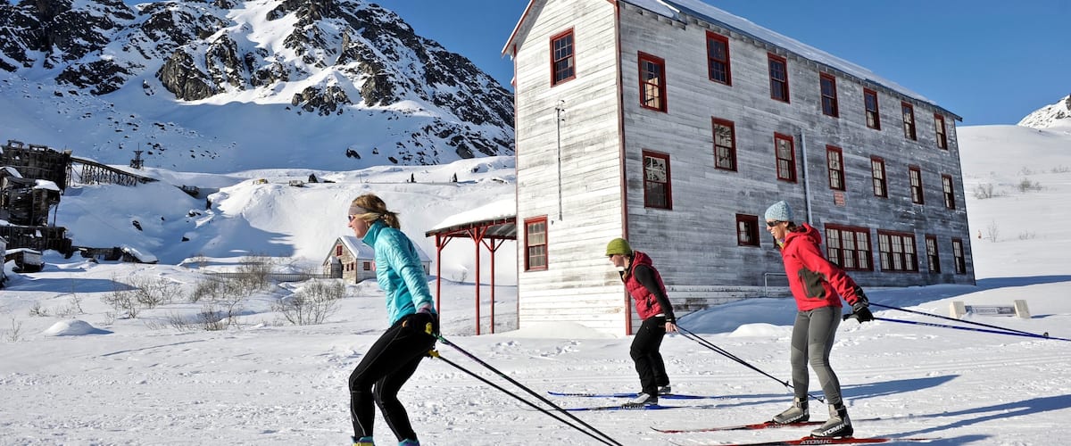 Talkeetna que incluye nieve, montañas y ski de fondo