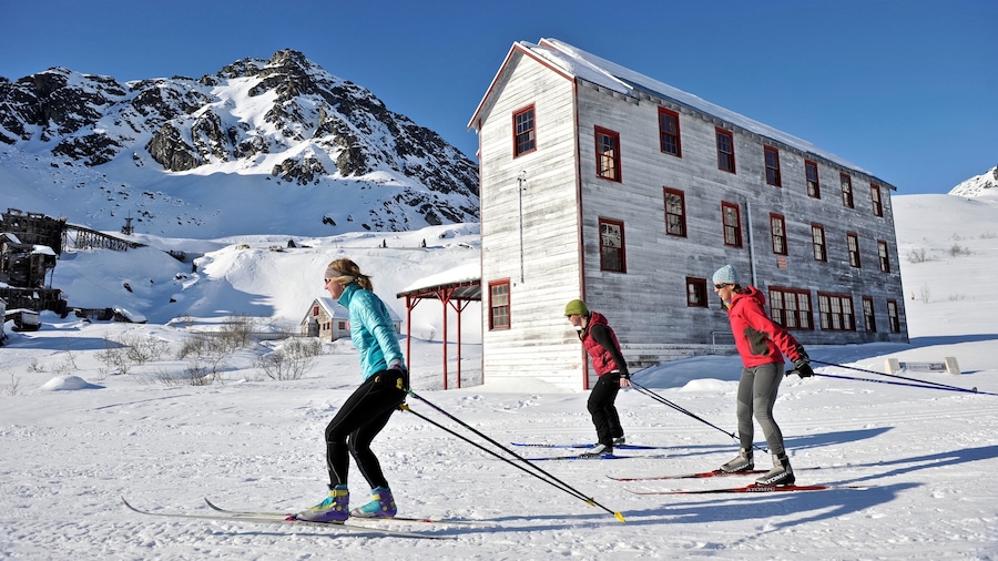 Talkeetna que incluye nieve, montañas y ski de fondo