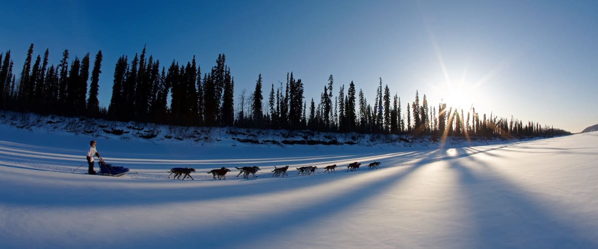 Galena featuring dog sledding and snow