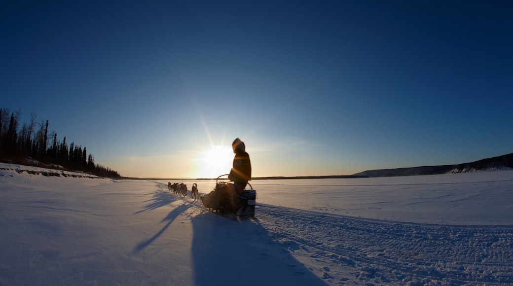 写真提供元 : State of Alaska/Chris McLennan