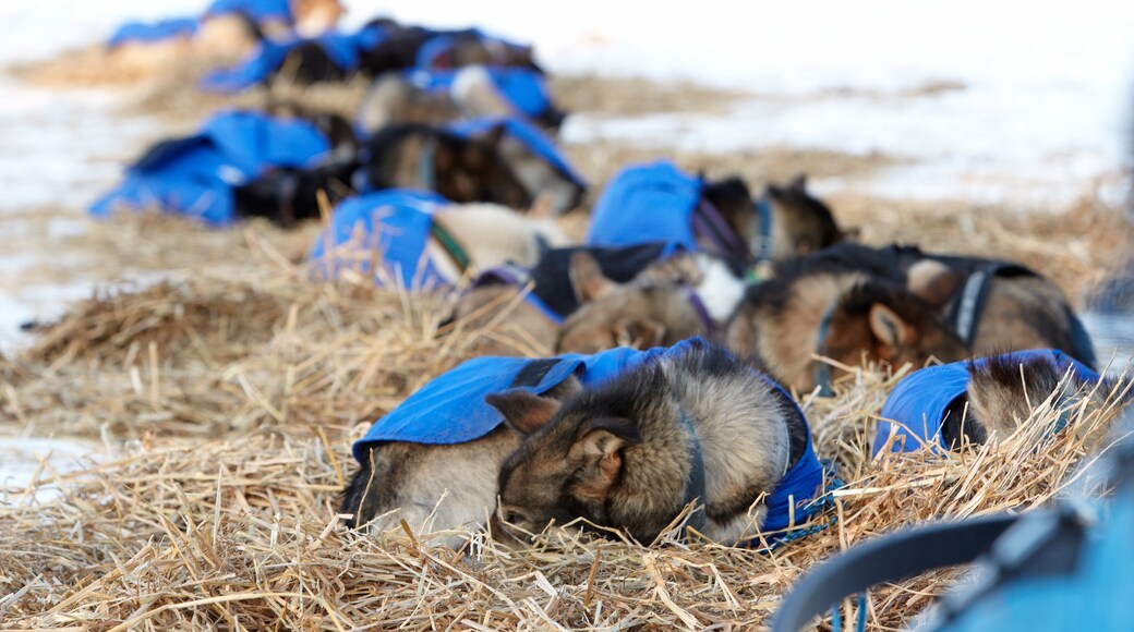 写真提供元 : State of Alaska/Chris McLennan