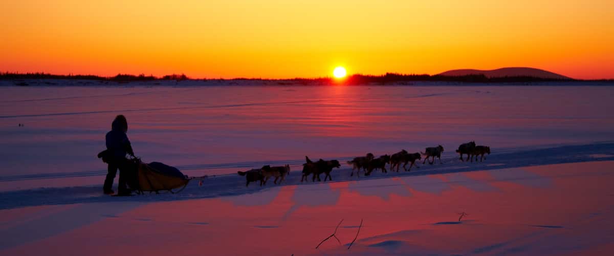 Galena featuring a sunset, snow and dog sledding