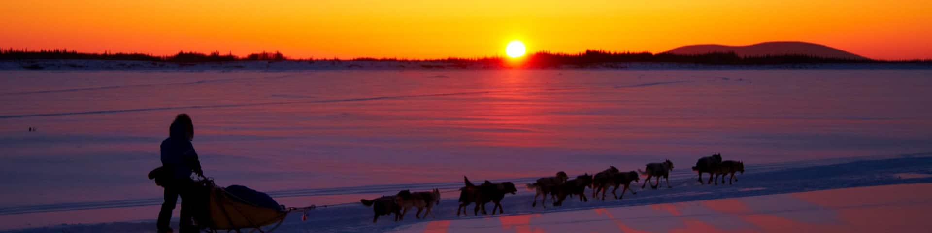 Galena showing a sunset, snow and dog sledding
