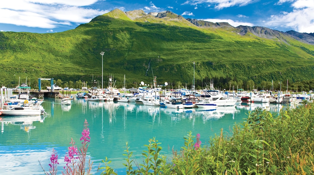 Valdez showing a marina, boating and mountains