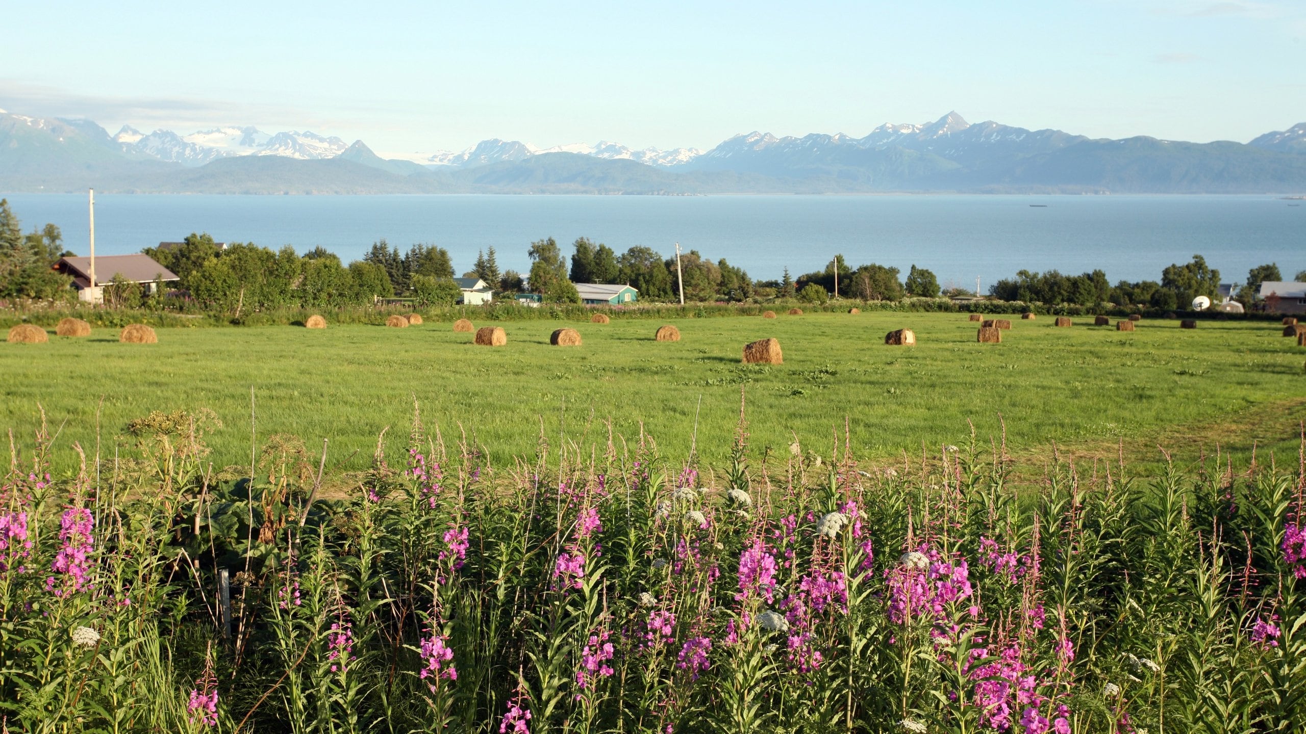 Homer showing a bay or harbor, mountains and farmland