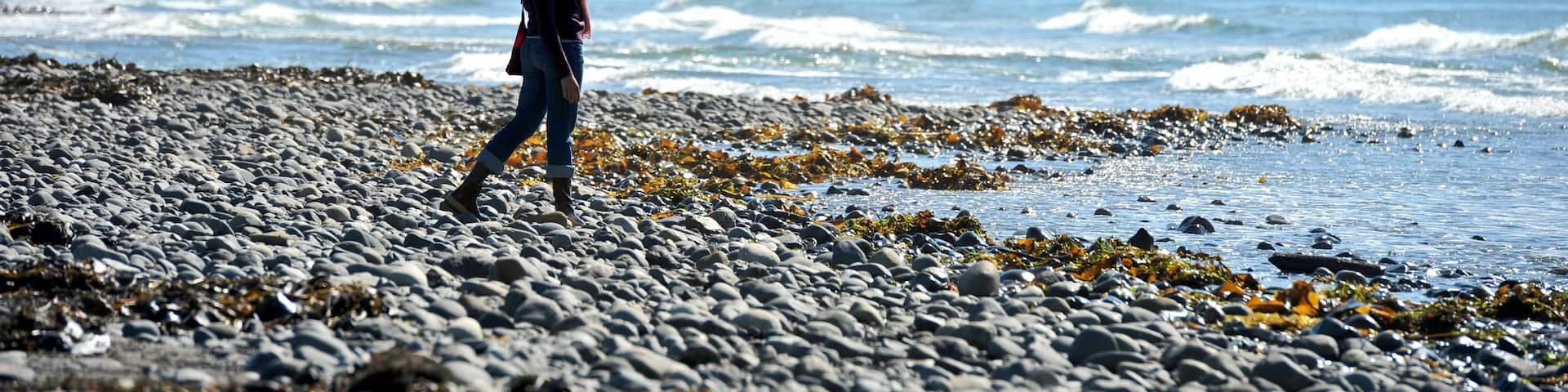 Homer som omfatter bjerge, en bugt eller havn og en stenstrand