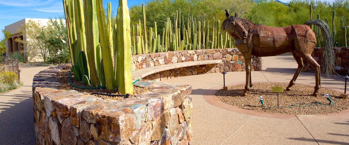 Tohono Chul Park which includes outdoor art and desert views