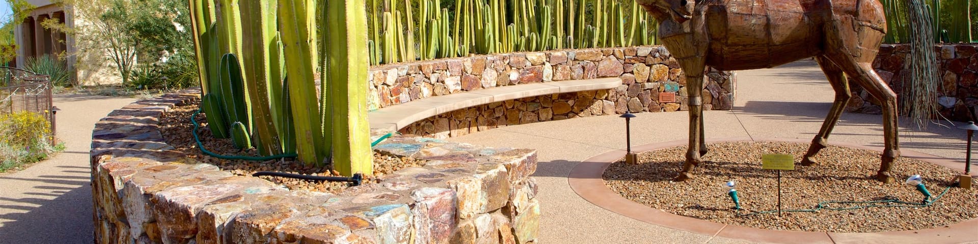 Tohono Chul Park which includes outdoor art and desert views
