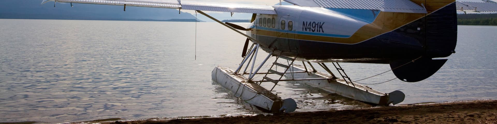 King Salmon welches beinhaltet Flugzeug und See oder Wasserstelle