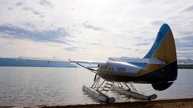 King Salmon which includes a lake or waterhole and aircraft
