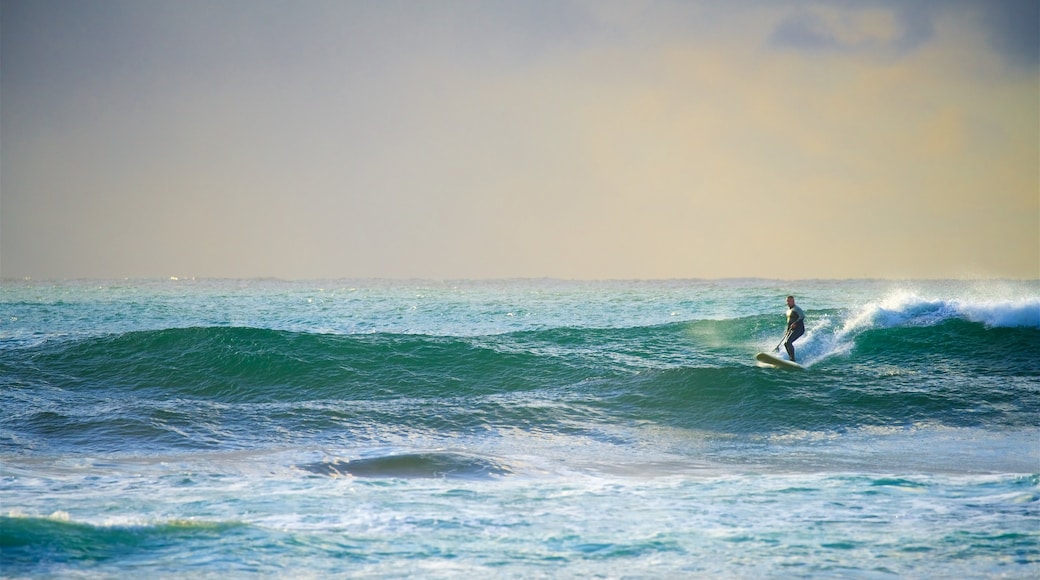 Blue Bay toont een baai of haven, surfen en golven