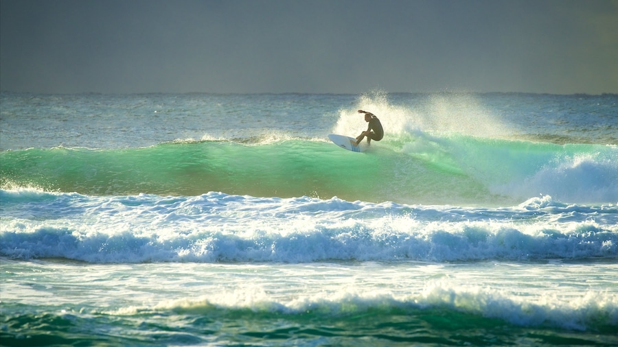 Blue Bay Beach featuring surfing, surf and a bay or harbor