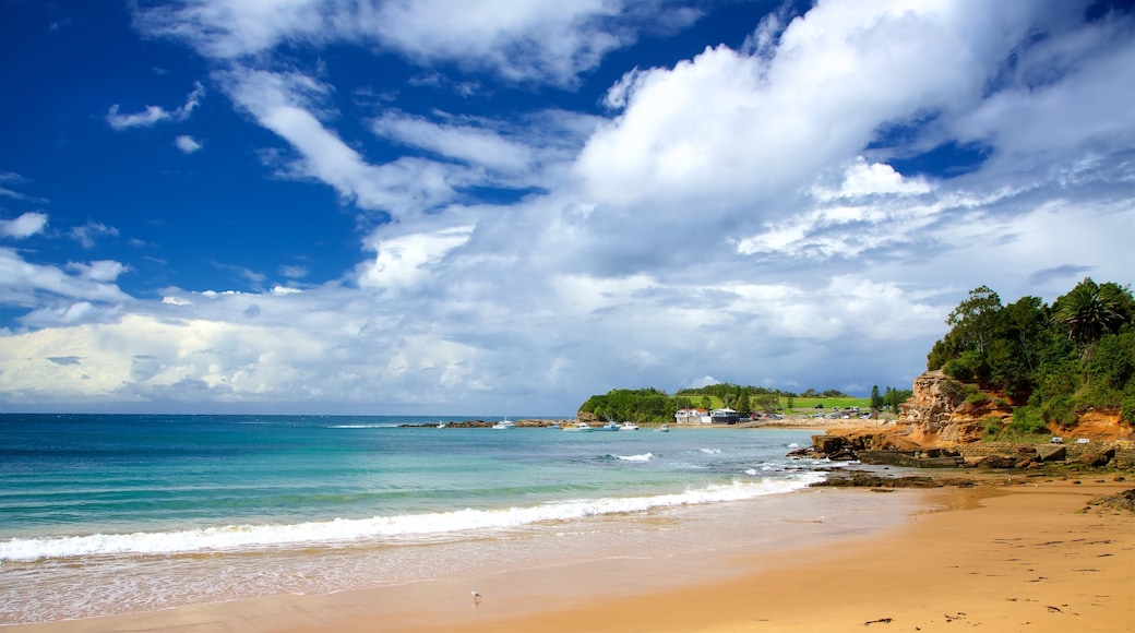 Terrigal which includes a bay or harbour and a sandy beach