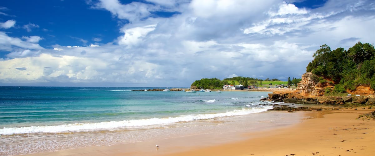 Terrigal featuring a beach and a bay or harbour