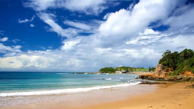 Terrigal das einen Bucht oder Hafen und Strand