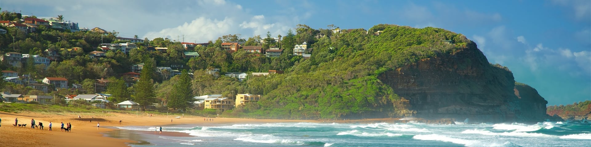 Avoca Beach featuring waves, a bay or harbor and a sandy beach