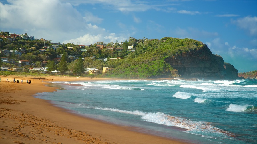 Avoca Beach which includes a sandy beach, waves and a bay or harbour