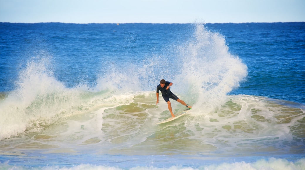 Avoca Beach das einen Wellen, Surfen und Bucht oder Hafen