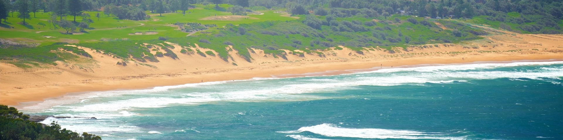 Wyrrabalong National Park mit einem Strand, KĂŒstenort und Brandung
