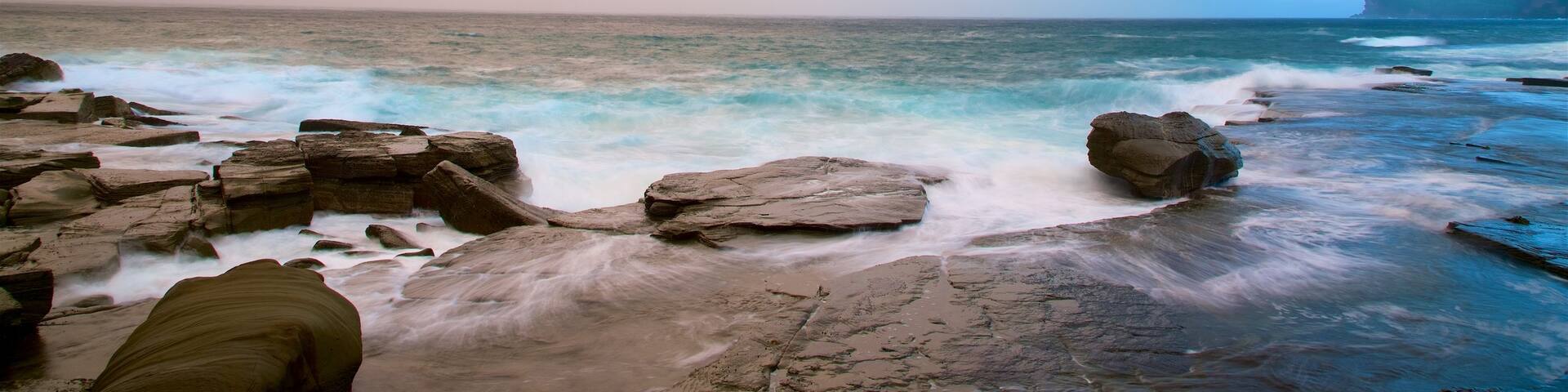 Australian Reptile Park featuring a sunset, a bay or harbor and rocky coastline