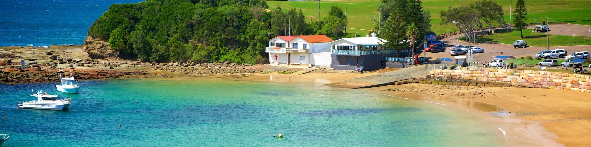 Terrigal mit einem Bucht oder Hafen und Sandstrand