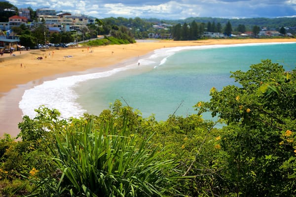 Terrigal featuring a beach, a coastal town and a bay or harbour