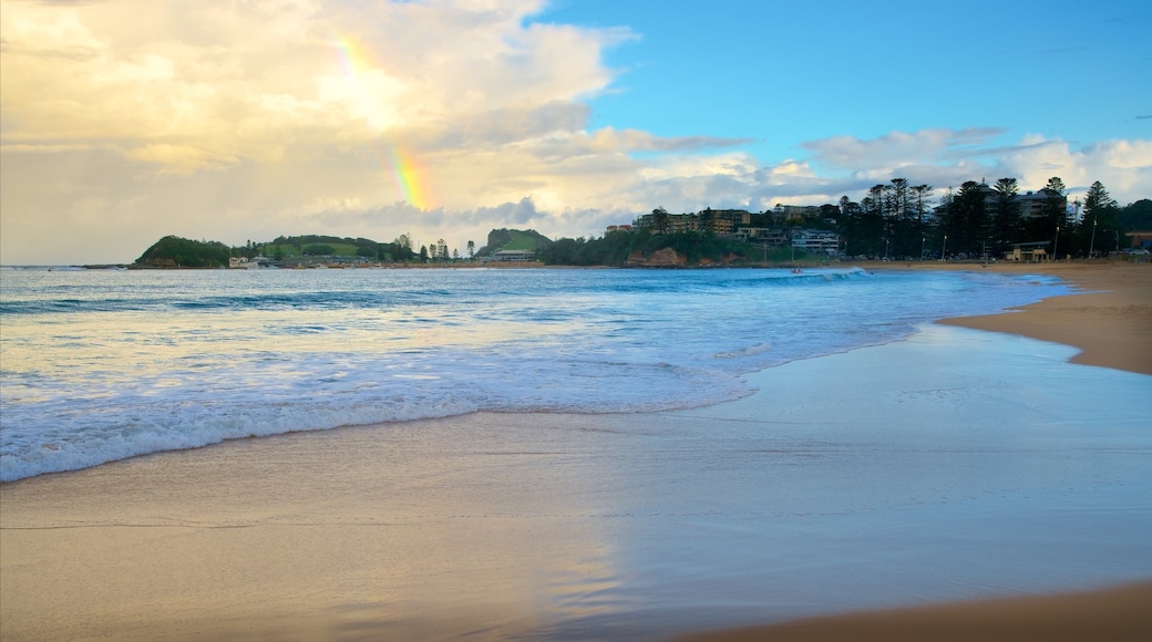 Terrigal featuring a beach, a bay or harbour and a sunset