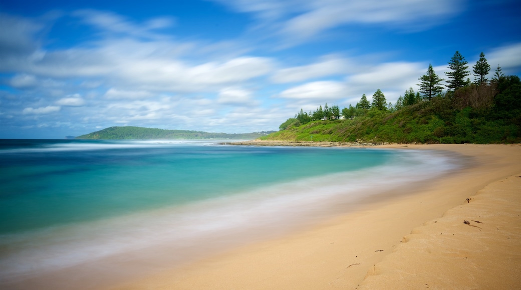 Toowoon Bay which includes general coastal views and a beach