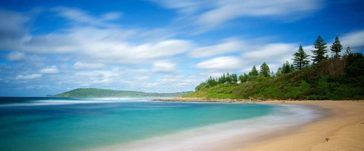 Toowoon Bay which includes general coastal views and a beach