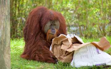 Visit Zoo Miami in Miami | Expedia
