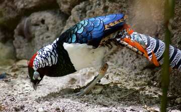 Visit Zoo Miami in Miami | Expedia