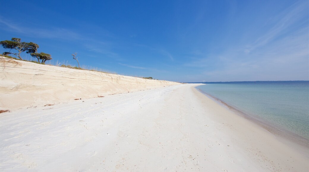 Florida Panhandle