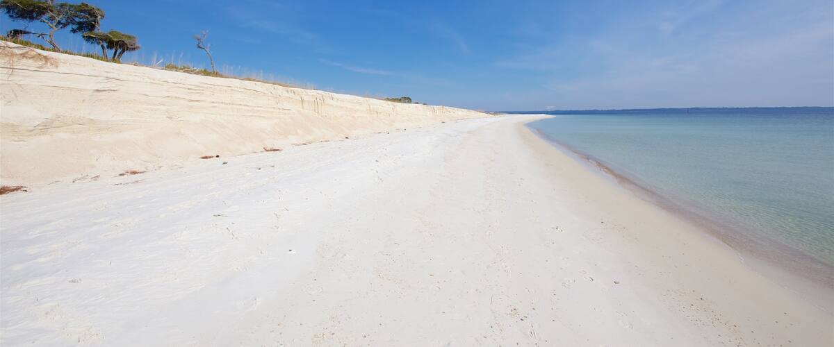 Panhandle de Florida
