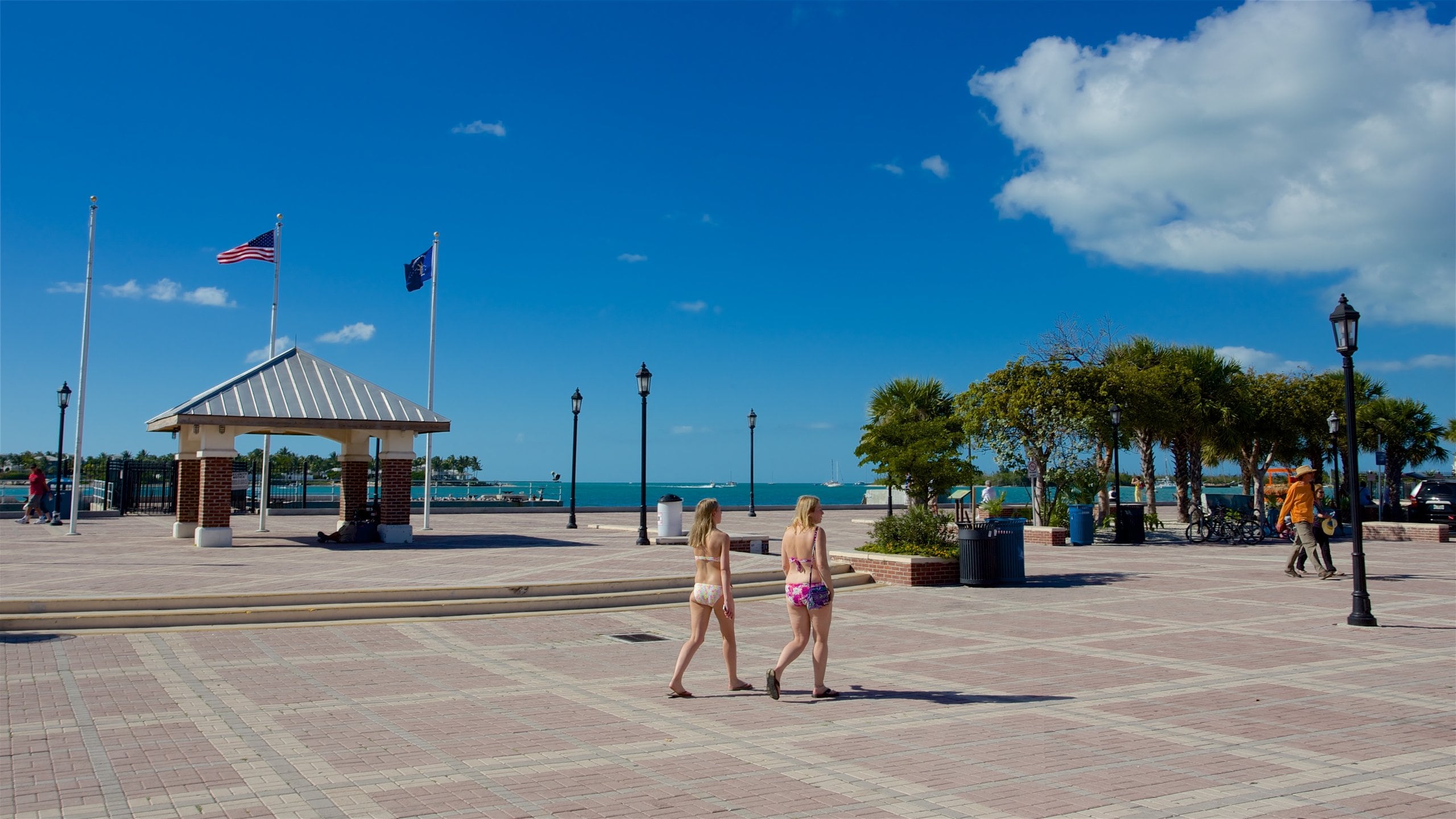 Top 20 Mallory Square, Key West resort rentals Vrbo