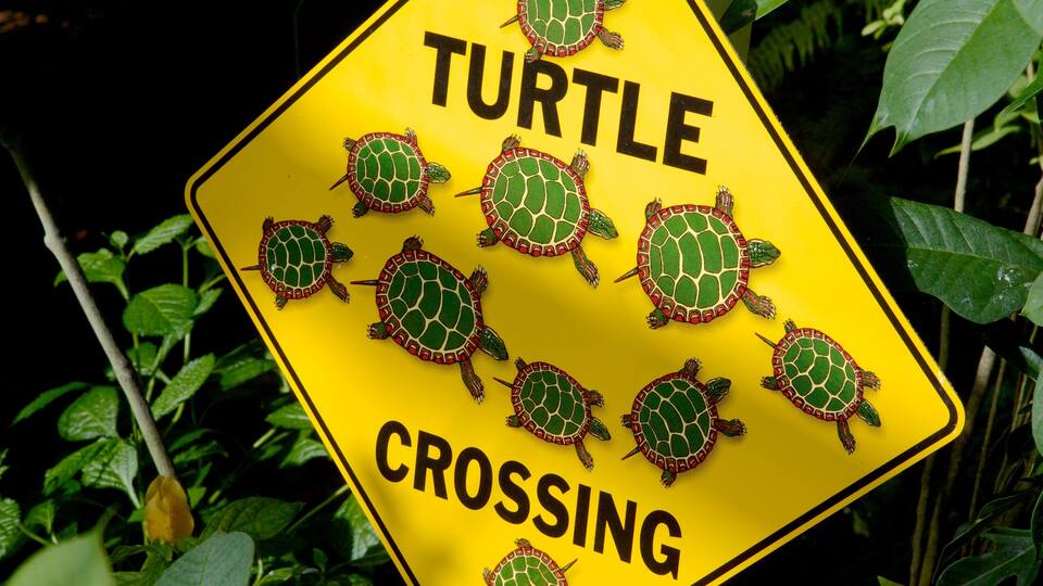 Key West Butterfly and Nature Conservatory featuring signage