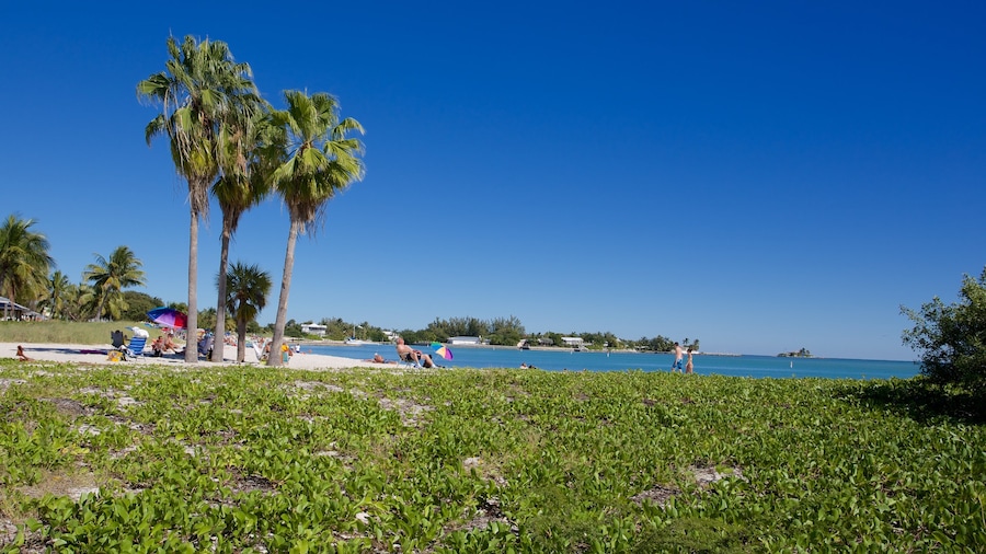 Sombrero Beach which includes a bay or harbour and a beach as well as a small group of people