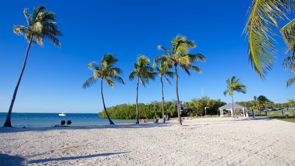 Islamorada mostrando uma praia