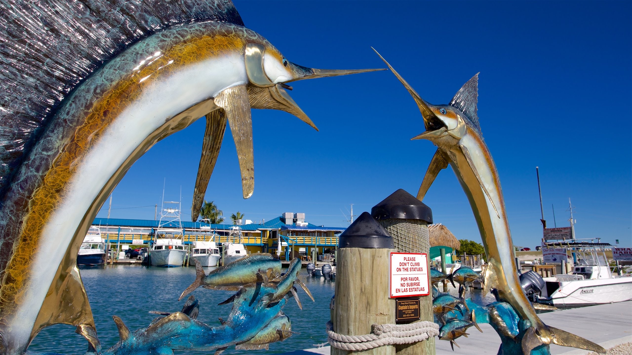 South Florida