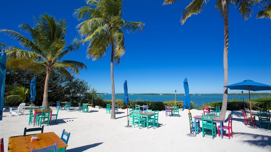 Islamorada ofreciendo un bar en la playa