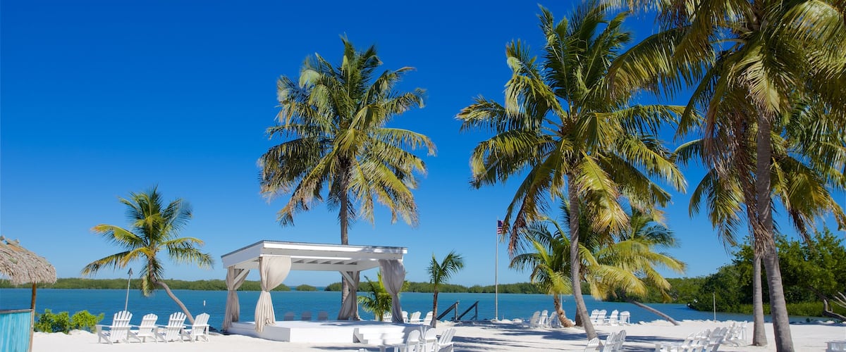 Islamorada montrant plage de sable