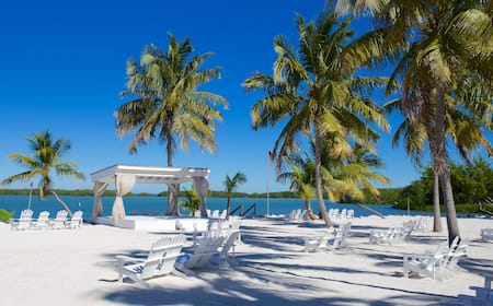 Best Resorts in Islamorada Florida: Ultimate Luxury & Relaxation Guide 3 Best Resorts in Islamorada Florida: Ultimate Luxury & Relaxation Guide