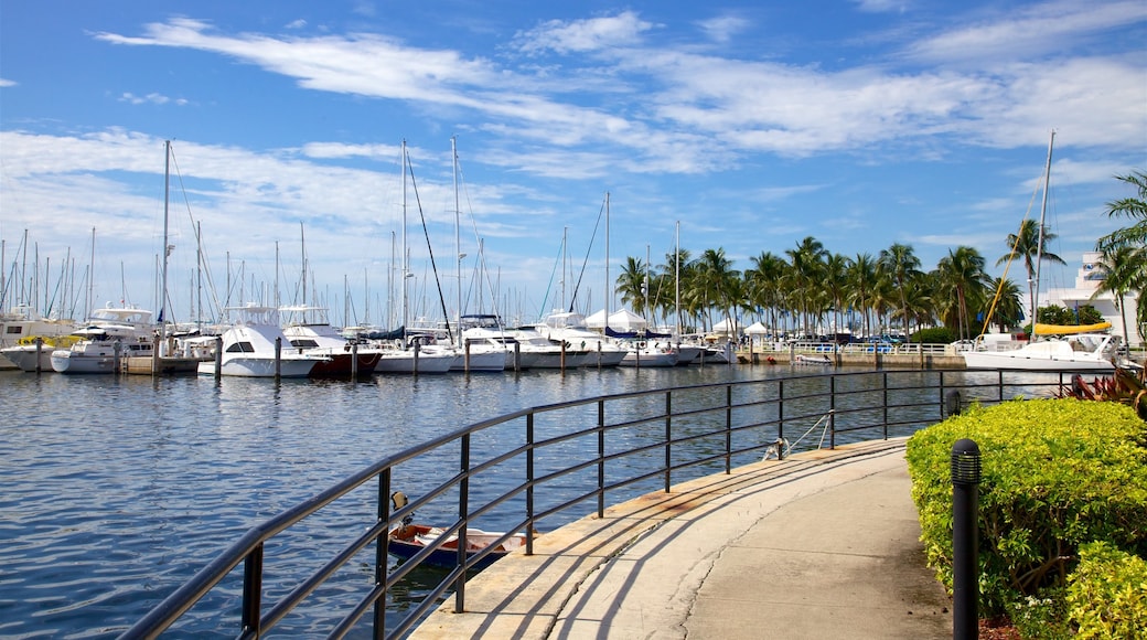 Coconut Grove fasiliteter samt marina